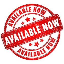 Long Term Rental